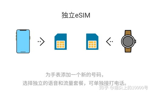 電信攜號(hào)轉(zhuǎn)網(wǎng)業(yè)務(wù) 暢享自由選擇，體驗(yàn)便捷服務(wù)